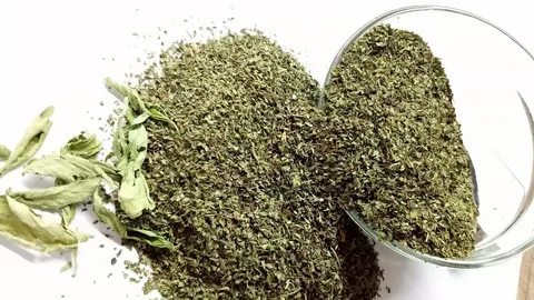 خرید نعناع خشک